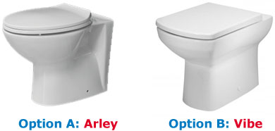 Either of these stylish toilet options can be added to your order
